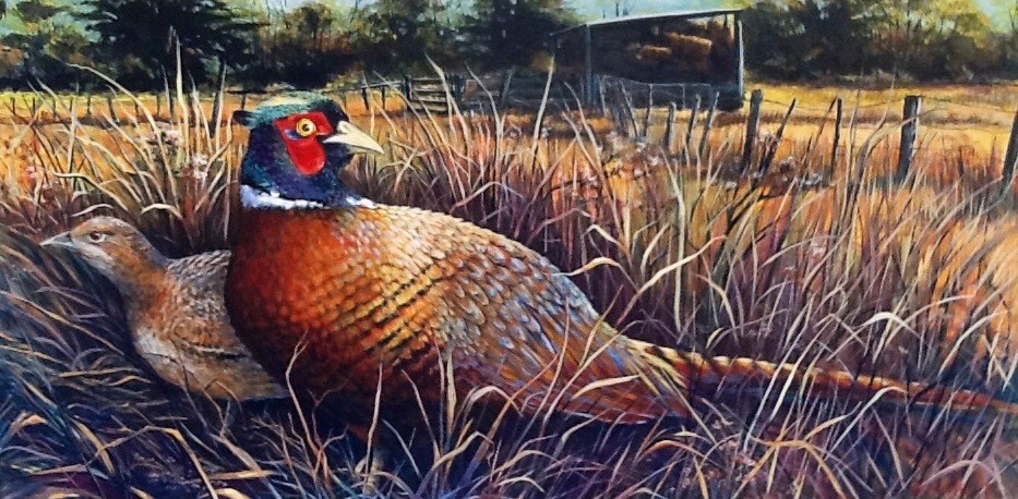Chinese Pheasants - Tim and Bronwyn McClintock Commission